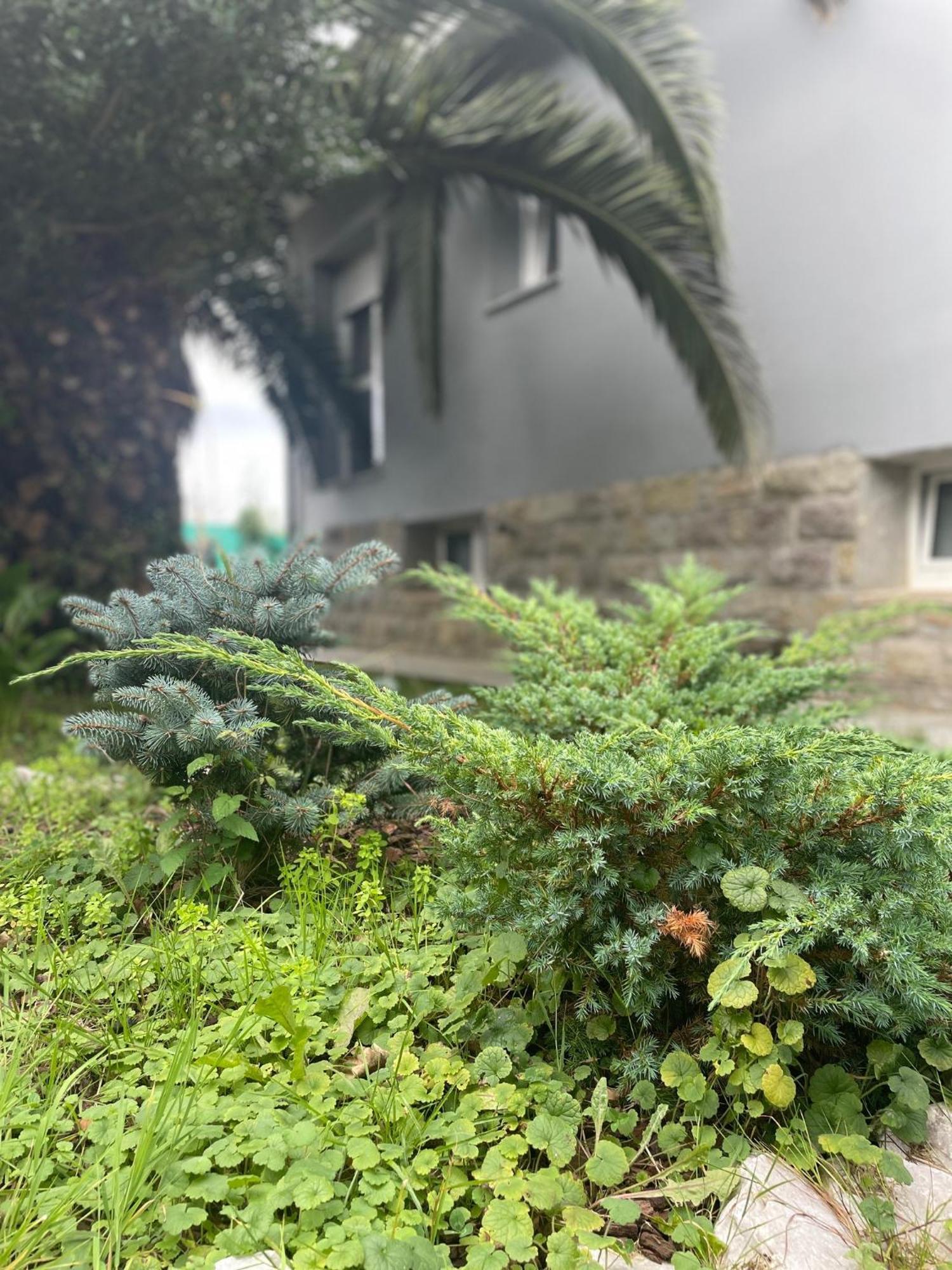 Kasaboba Villa Parres de Llanes Ngoại thất bức ảnh